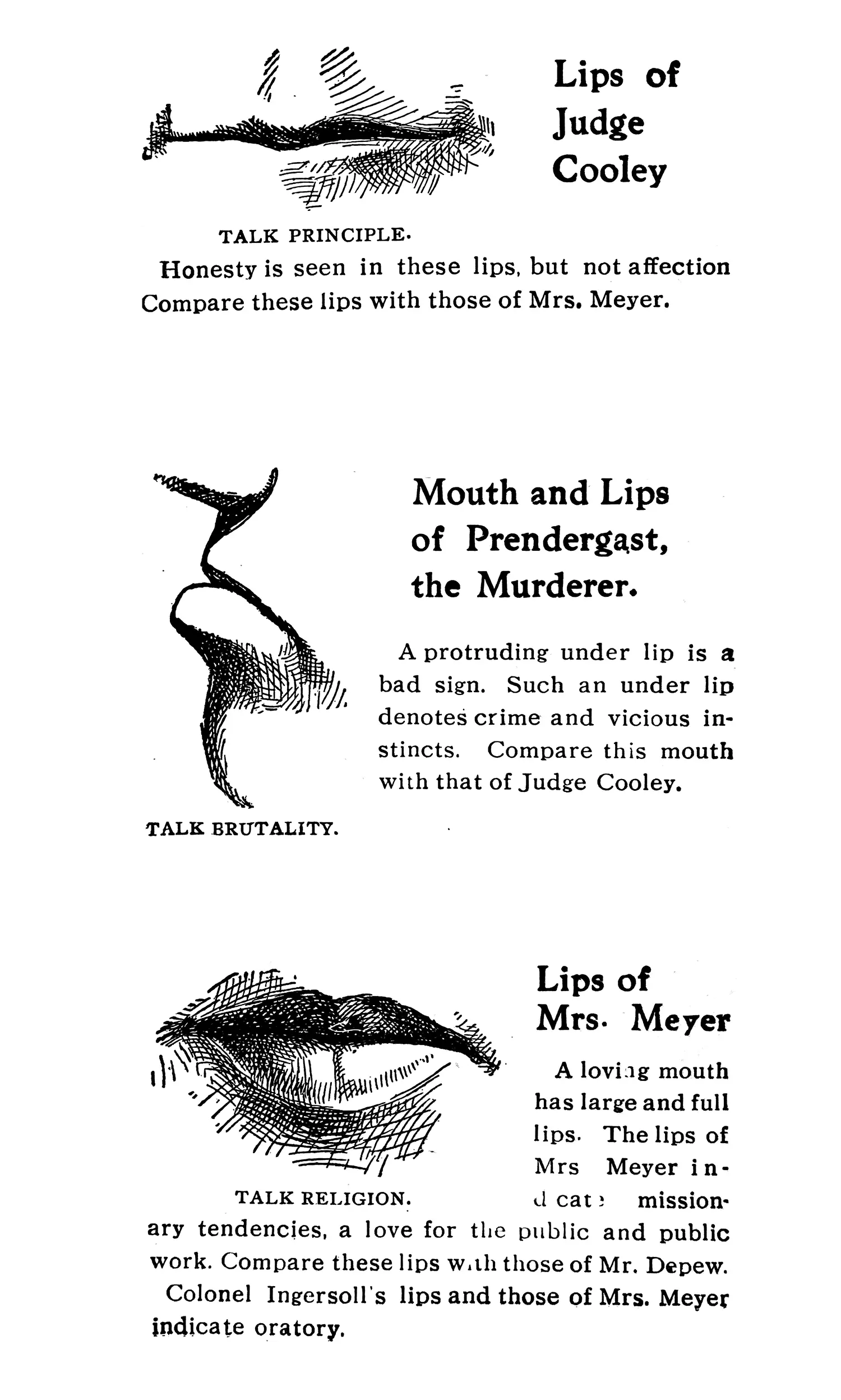 Clipping from an old publication containing drawings of 3 kinds of lips. Thin, neutral lips described as “Lips of Judge Cooley” beneath which it says “honesty is seen in these lips, but not affection.” Followed by “Mouth and Lips of Prendergast, the Murderer,” “A protruding under lip is a bad sign. Such an under lip denotes crime and vicious instincts.” Beneath which are the “Lips of Mrs. Meyer,” “A loving mouth has large and full lips. The lips of Mrs. Meyer indicate missionary tendencies, a love for the public and public work.”